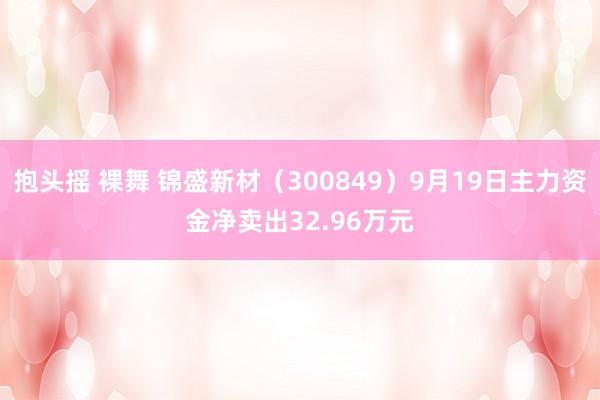 抱头摇 裸舞 锦盛新材（300849）9月19日主力资金净卖出32.96万元
