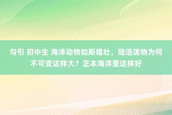 勾引 初中生 海洋动物如斯雄壮，陆活泼物为何不可变这样大？正本海洋里这样好