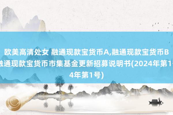 欧美高清处女 融通现款宝货币A,融通现款宝货币B: 融通现款宝货币市集基金更新招募说明书(2024年第1号)