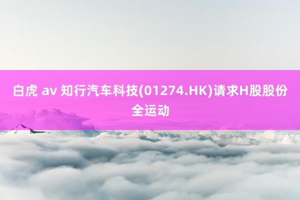 白虎 av 知行汽车科技(01274.HK)请求H股股份全运动