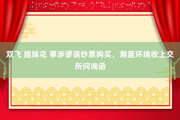 双飞 姐妹花 事涉谬误钞票购买，瀚蓝环境收上交所问询函