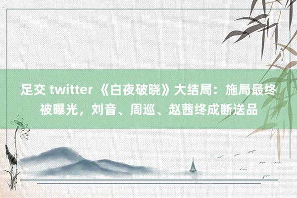 足交 twitter 《白夜破晓》大结局：施局最终被曝光，刘音、周巡、赵茜终成断送品