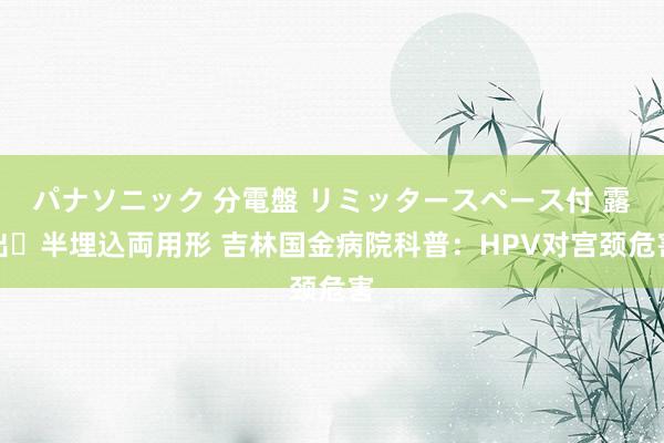 パナソニック 分電盤 リミッタースペース付 露出・半埋込両用形 吉林国金病院科普：HPV对宫颈危害
