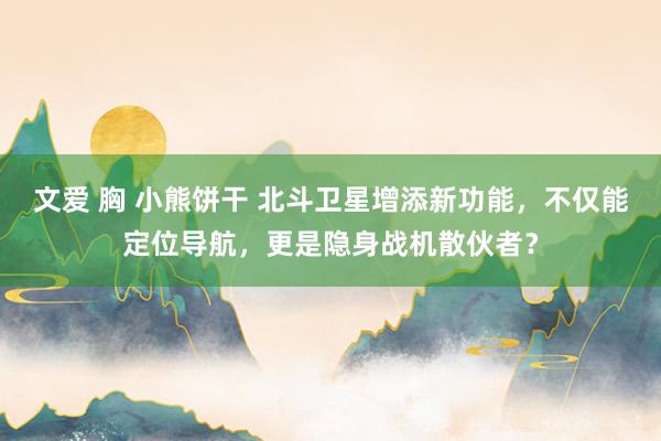 文爱 胸 小熊饼干 北斗卫星增添新功能，不仅能定位导航，更是隐身战机散伙者？