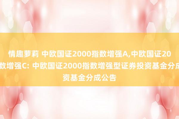 情趣萝莉 中欧国证2000指数增强A,中欧国证2000指数增强C: 中欧国证2000指数增强型证券投资基金分成公告