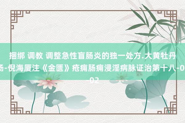 捆绑 调教 调整急性盲肠炎的独一处方.大黄牡丹汤-倪海厦注《金匮》疮痈肠痈浸淫病脉证治第十八-02