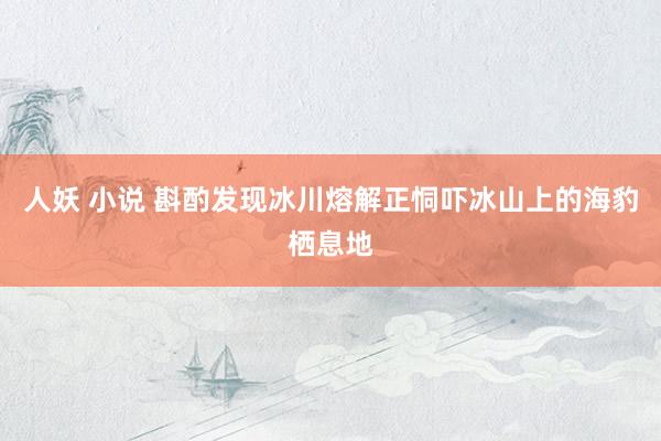 人妖 小说 斟酌发现冰川熔解正恫吓冰山上的海豹栖息地