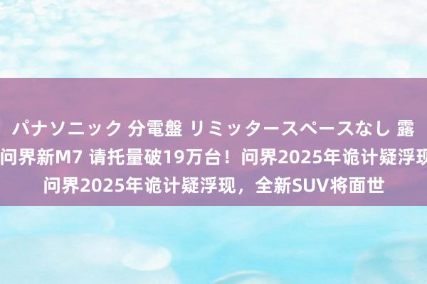 パナソニック 分電盤 リミッタースペースなし 露出・半埋込両用形 问界新M7 请托量破19万台！问界2025年诡计疑浮现，全新SUV将面世