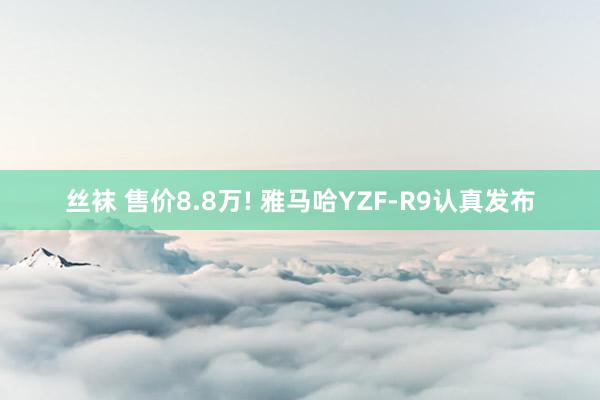 丝袜 售价8.8万! 雅马哈YZF-R9认真发布