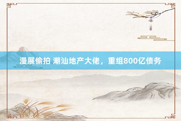 漫展偷拍 潮汕地产大佬，重组800亿债务