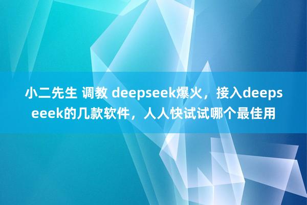 小二先生 调教 deepseek爆火，接入deepseeek的几款软件，人人快试试哪个最佳用