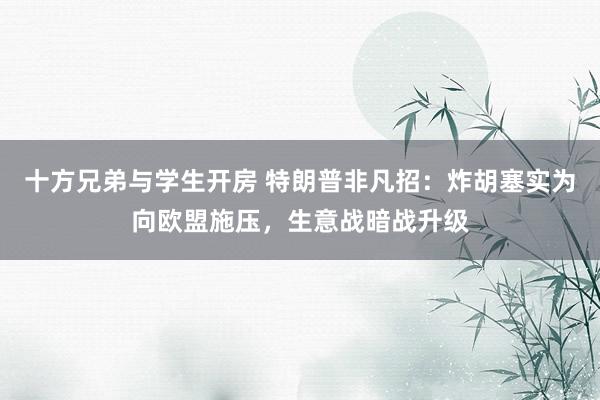 十方兄弟与学生开房 特朗普非凡招：炸胡塞实为向欧盟施压，生意战暗战升级