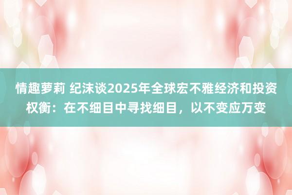 情趣萝莉 纪沫谈2025年全球宏不雅经济和投资权衡：在不细目中寻找细目，以不变应万变