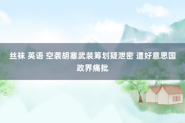 丝袜 英语 空袭胡塞武装筹划疑泄密 遭好意思国政界痛批