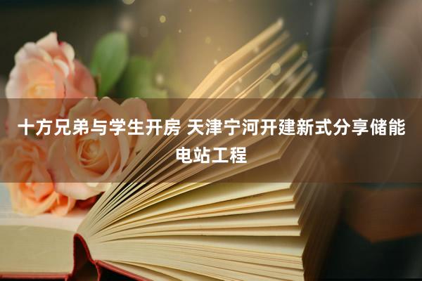 十方兄弟与学生开房 天津宁河开建新式分享储能电站工程