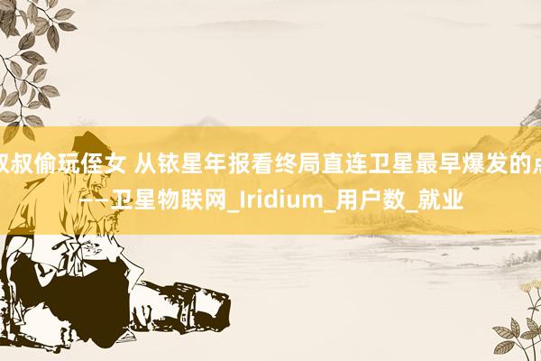 叔叔偷玩侄女 从铱星年报看终局直连卫星最早爆发的点——卫星物联网_Iridium_用户数_就业